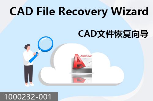 CAD文件恢復(fù)向?qū)?                                1000232-001