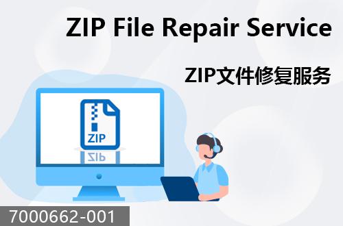 ZIP文件恢復(fù)服務(wù)                                7000662-001